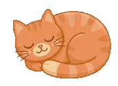 The zucchiniux studio cat, napping
